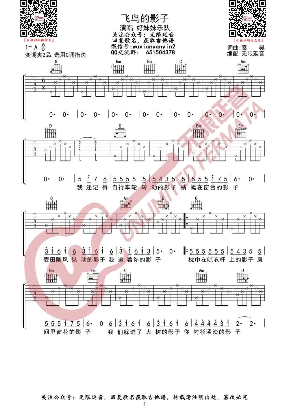 飞鸟的影子吉他谱预览图