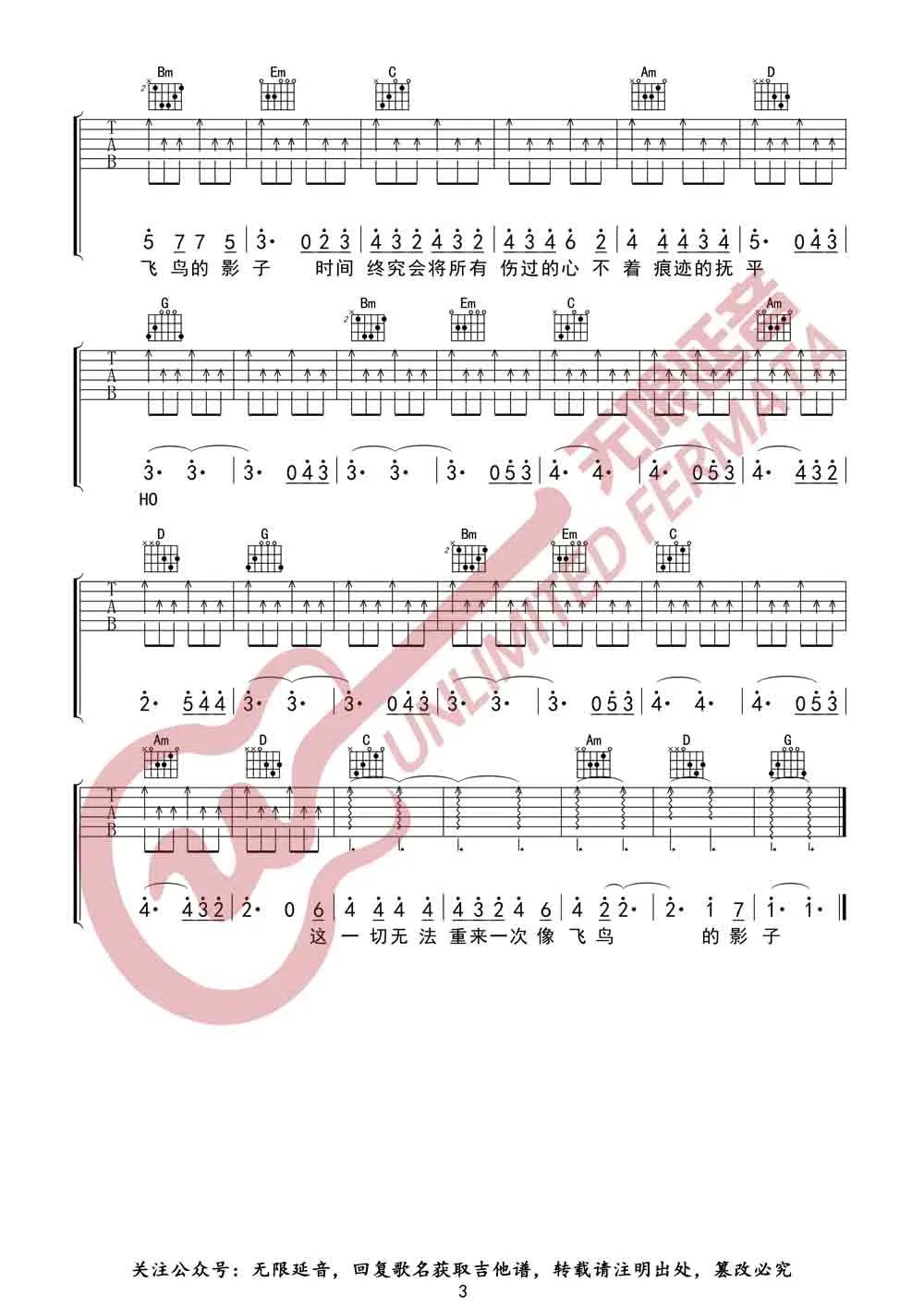 飞鸟的影子吉他谱预览图