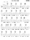 天马座的幻想指弹谱_圣斗士星矢_指弹六线谱_吉他独奏谱