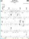 Sunflower指弹吉他谱_井草圣二_原版指弹六线谱_吉他独奏谱