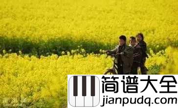 思乡曲简谱_理查德·克莱德曼_故乡,就象是缭绕在我心头的一种思绪