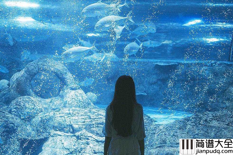 You_Are_My_World钢琴谱_尹莱美_想靠近你身边依偎你怀里