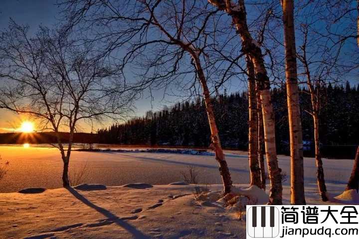 白桦林钢琴谱_朴树_我来了等着我在那片白桦林