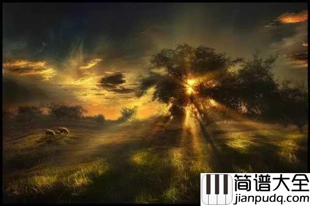 劲乐团V3钢琴谱_原来你是这样的贝多芬悲怆鸣奏曲第三乐章