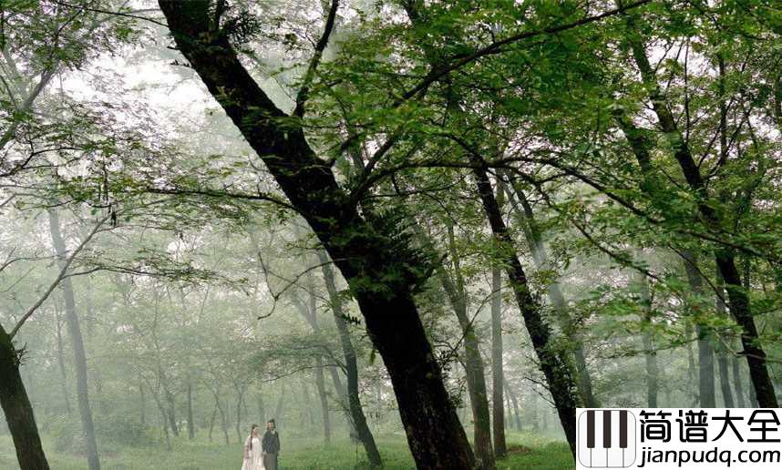 别惹我哭钢琴谱_郭静_我的无动于衷_冷漠的隐隐作痛