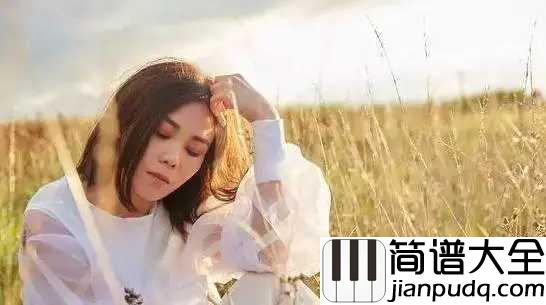 空白格钢琴谱_杨宗纬_虽然错过了一辈子,但爱过,就是一生一世