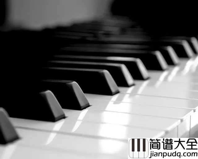 空白格钢琴谱_杨宗纬_虽然错过了一辈子,但爱过,就是一生一世
