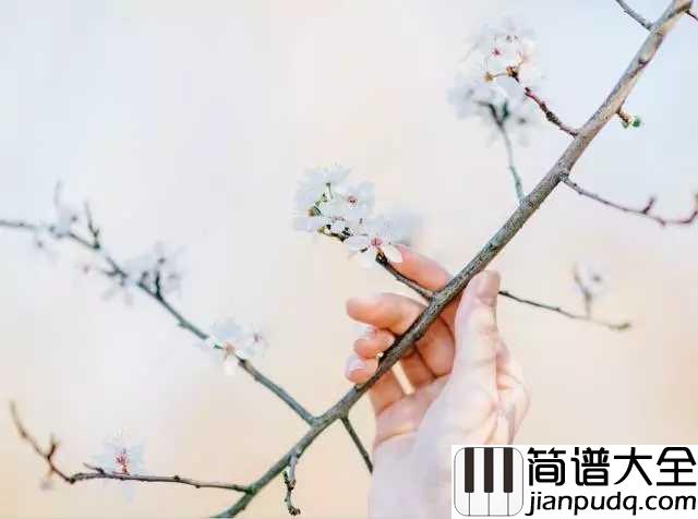 四季钢琴谱_陈奕迅_来自春夏秋冬的灵感,演绎平淡四季中的不平凡