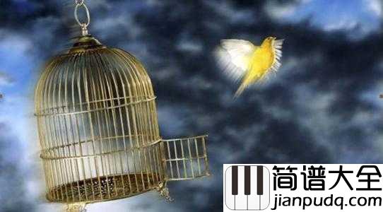 囚鸟钢琴谱_彭羚_我是被你囚禁的鸟_,已经忘了天有多高