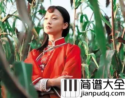 九儿钢琴谱__韩红|九儿我送你去远方