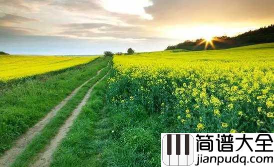 春天里钢琴谱_汪峰_人生之路蜿蜒曲折,多想在春天的气息下享受片刻的闲暇