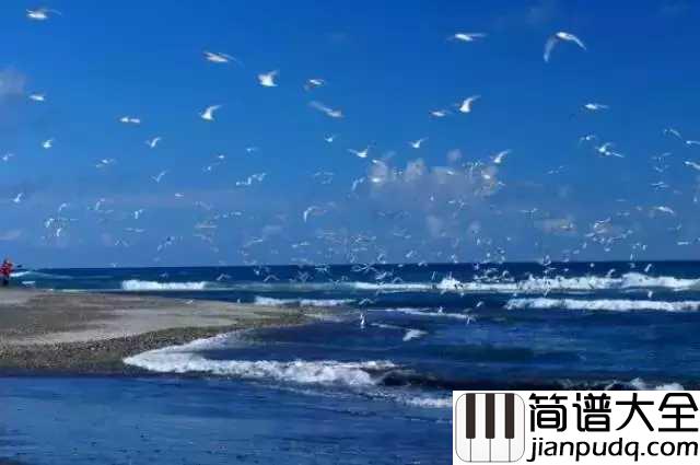 大海啊故乡钢琴谱_王立平_每次听完都会勾起童年的回忆
