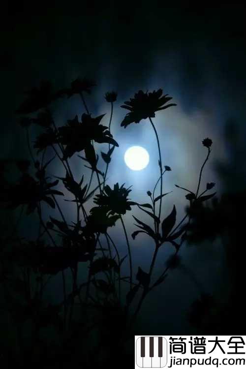 但愿人长久钢琴谱_王菲|声音太好听,听一遍就会爱上循环