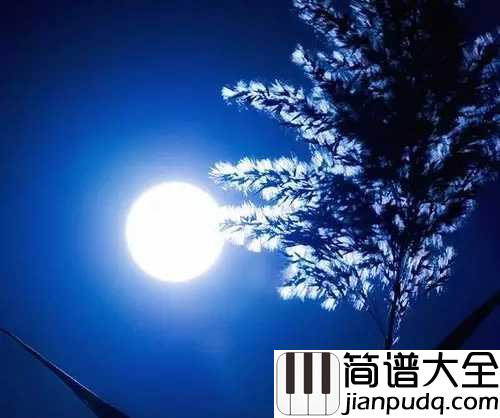 但愿人长久钢琴谱_王菲|声音太好听,听一遍就会爱上循环