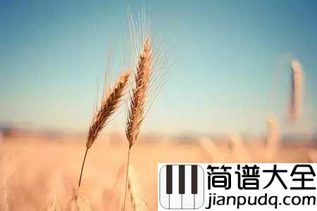_阳光总在风雨后|钢琴谱_听一句就能秒杀你的中国女排队歌