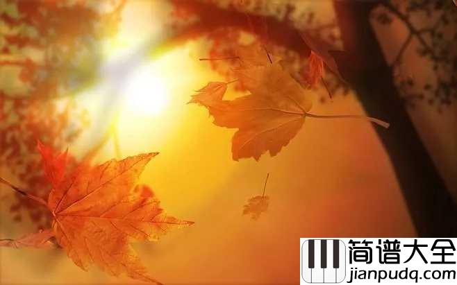 秋日私语钢琴谱_理查德.克莱德曼秋天里的童话,秋天里的温馨烂漫...