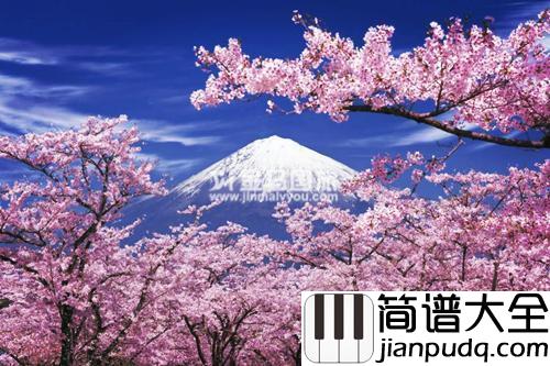 春天,樱花和你_钢琴谱__Epitone_Project|人若如花,不枉一生芳华