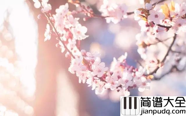 春天,樱花和你_钢琴谱__Epitone_Project|人若如花,不枉一生芳华