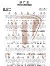 胡广生吉他谱_任素汐_G调指法原版吉他谱_吉他弹唱教学