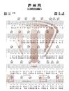 庐州月吉他谱_许嵩_G调指法原版吉他谱_吉他弹唱教学