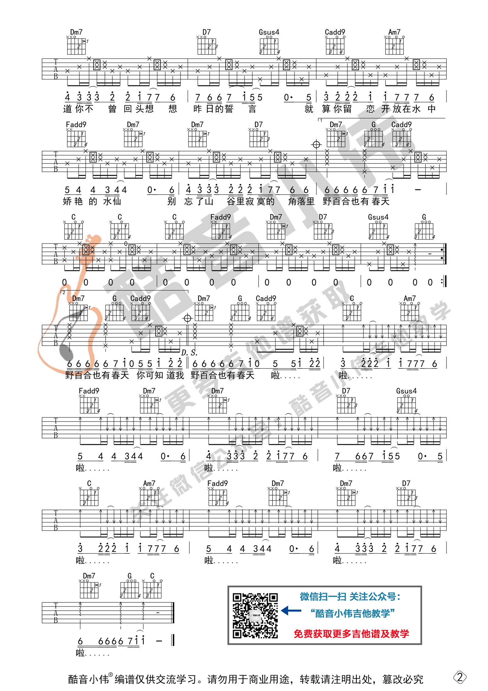 野百合也有春天吉他谱2-罗大佑